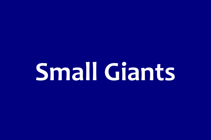 Software Firm Small Giants