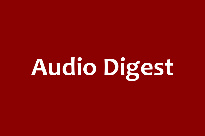 Digital Solutions Provider Audio Digest