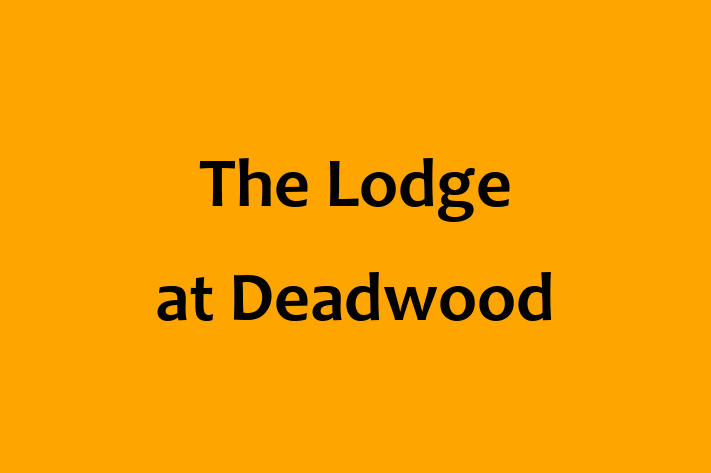 Technology Company The Lodge at Deadwood