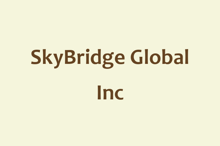 Software Engineering Company SkyBridge Global Inc