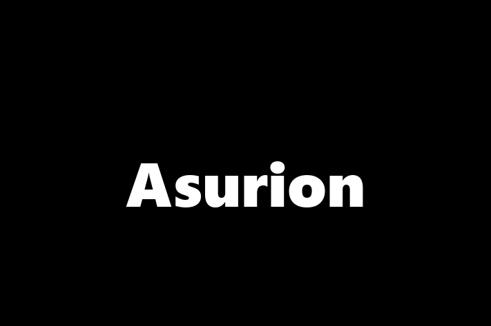 Human Capital Management Asurion