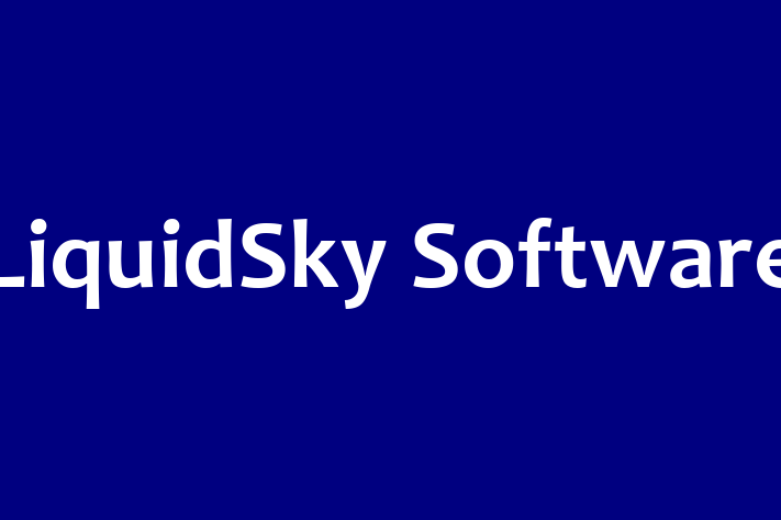 Software Engineering Company LiquidSky Software