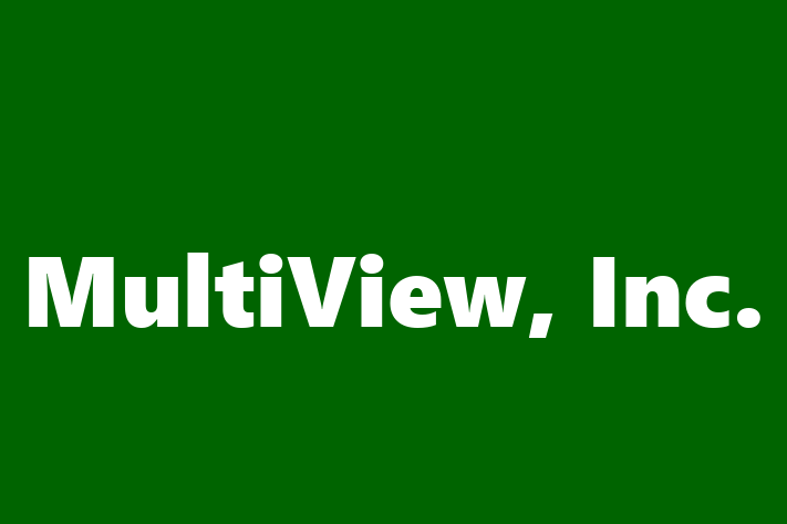 Software Development Firm MultiView Inc.