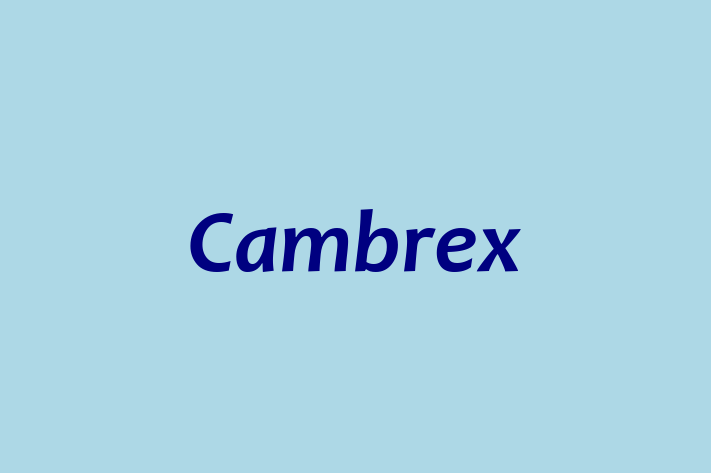 Staff Management Cambrex