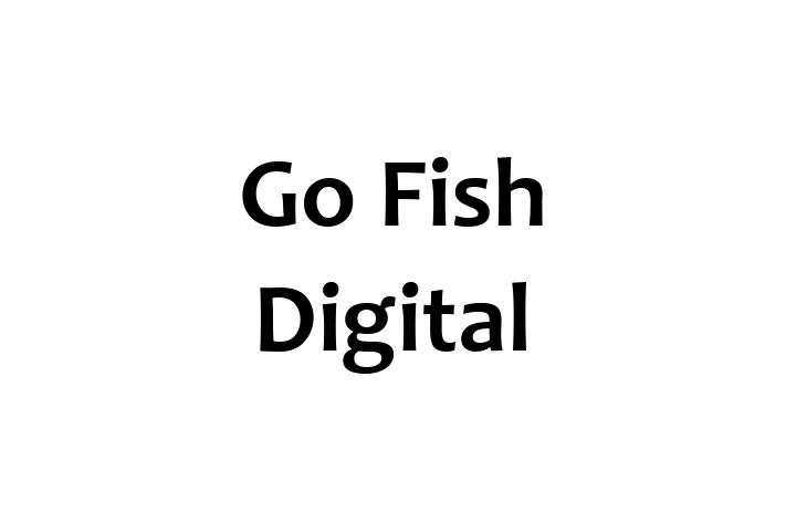 Software Consultancy Go Fish Digital