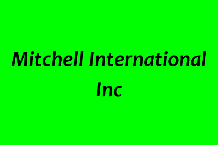 Software Solutions Provider Mitchell International Inc