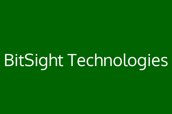 Technology Solutions Firm BitSight Technologies