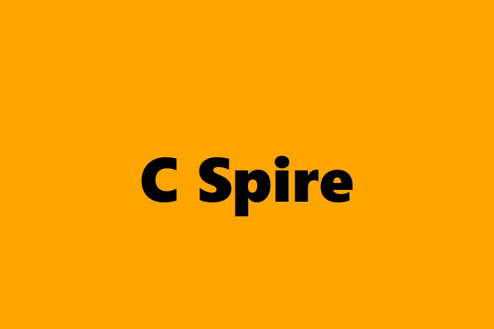 Software Development Company C Spire