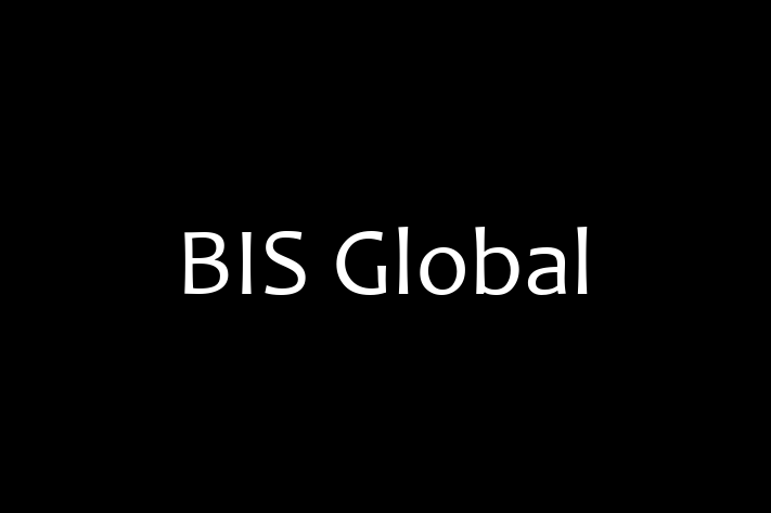 IT Company BIS Global