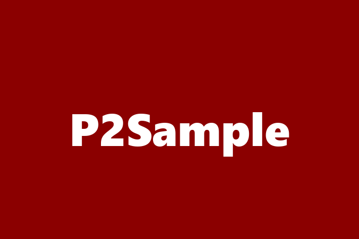 Technology Company P2Sample