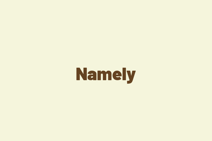 Software Development Firm Namely