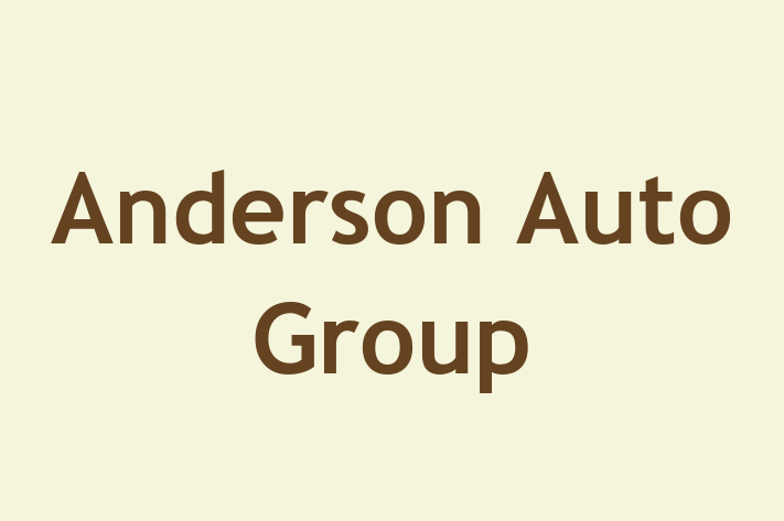 Talent Management Anderson Auto Group