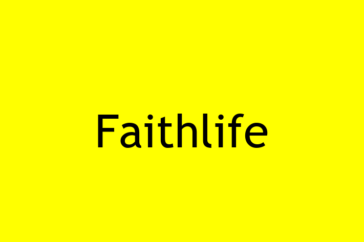 Software Development Firm Faithlife