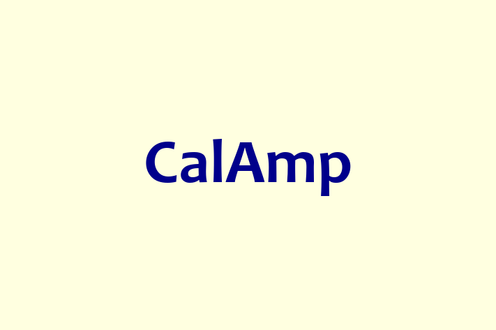 Application Development Company CalAmp