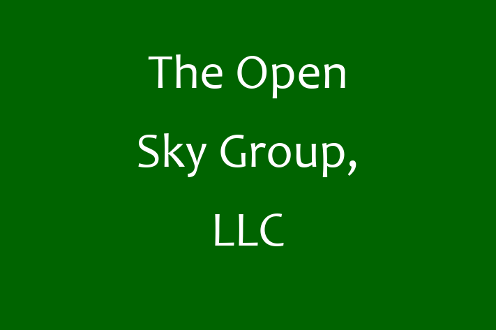 Software Services Company The Open Sky Group LLC