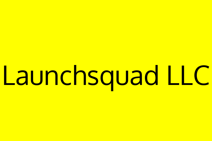 Software Development Firm Launchsquad LLC