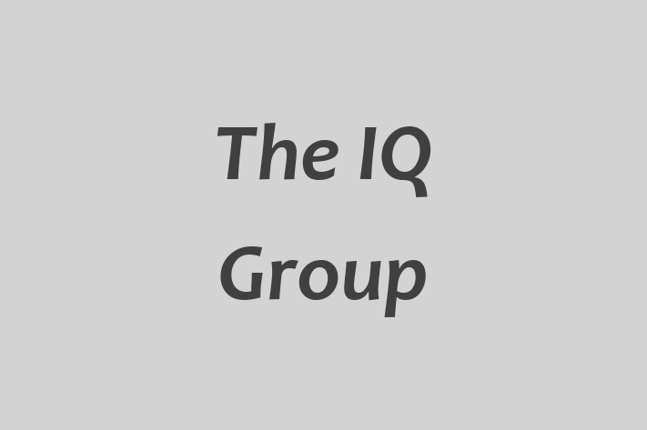 Tech Firm The IQ Group