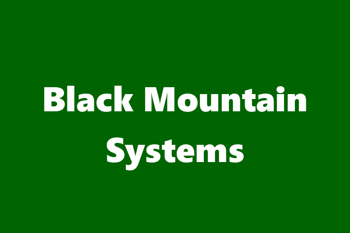 Technology Solutions Firm Black Mountain Systems