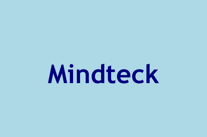 Digital Solutions Provider Mindteck