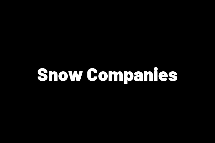 IT Company Snow Companies