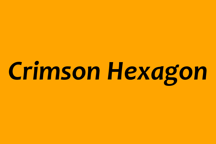 Software Firm Crimson Hexagon