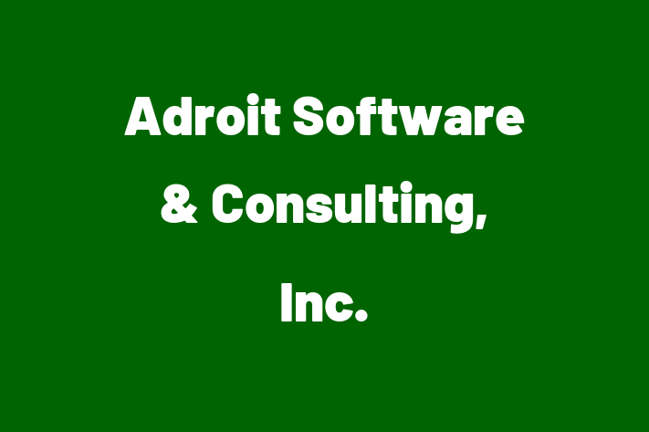 Digital Solutions Provider Adroit Software Consulting Inc.