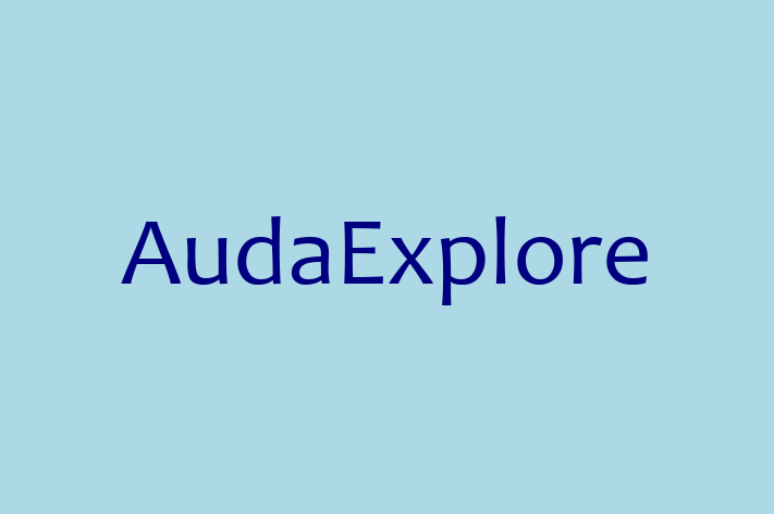 Technology Company AudaExplore