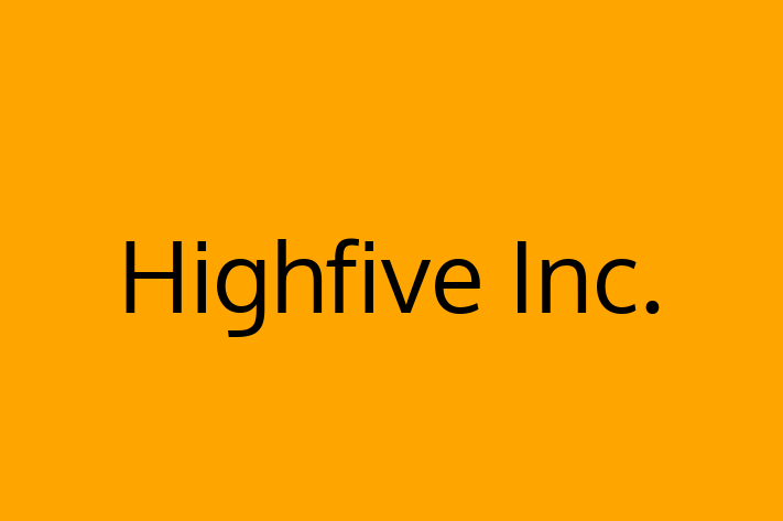 Tech Solutions Company Highfive Inc.