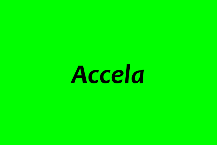 Technology Solutions Firm Accela