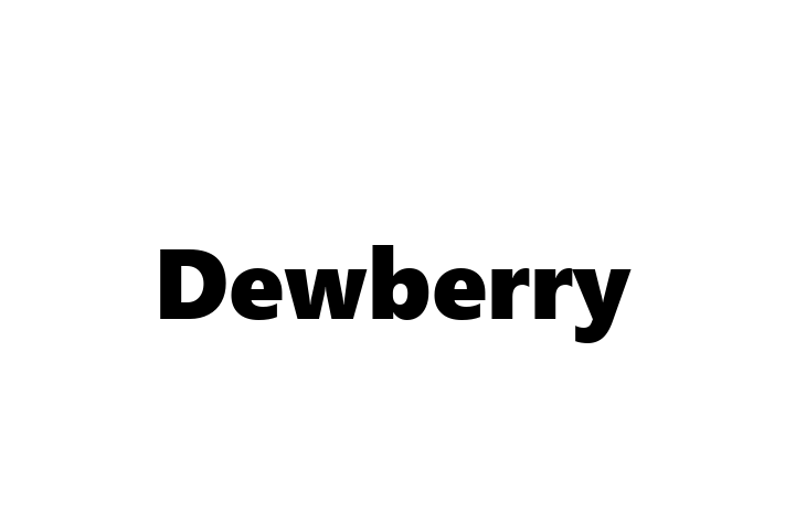 Tech Firm Dewberry