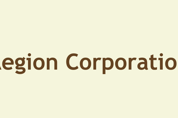 Software Development Firm Aegion Corporation