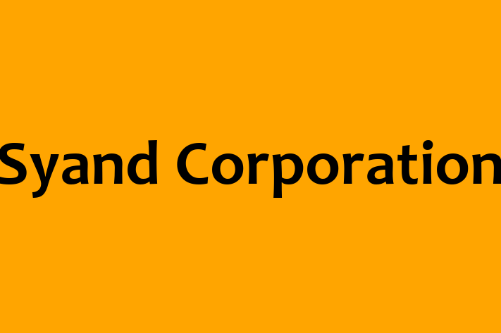 Technology Solutions Firm Syand Corporation