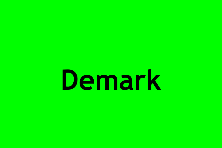 Human Resource Management Demark