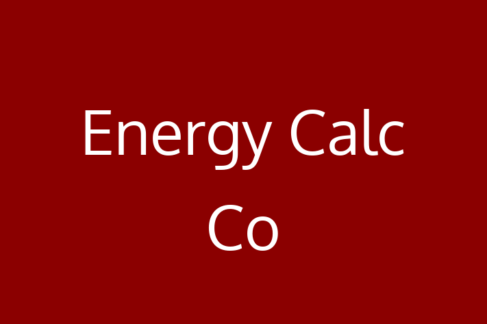 Power technicians Energy Calc Co