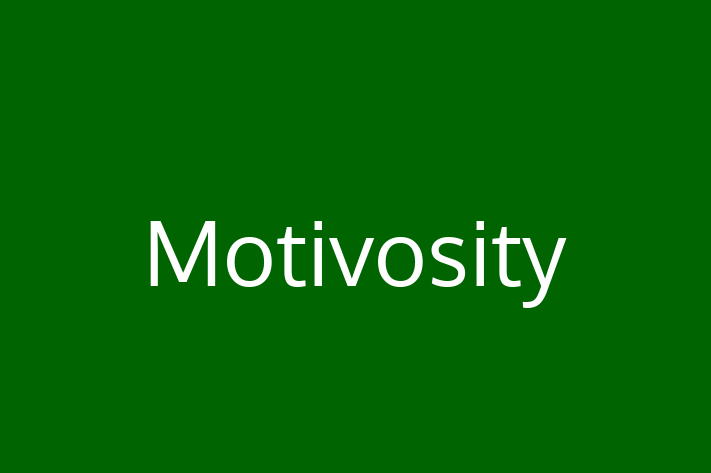 Software Firm Motivosity