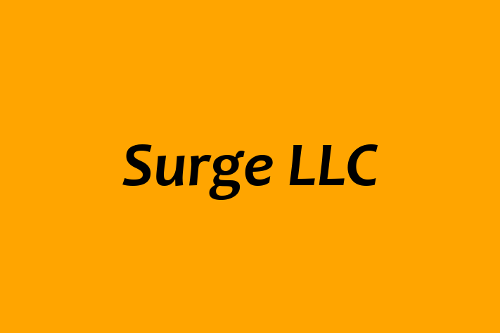 Software Services Company Surge LLC