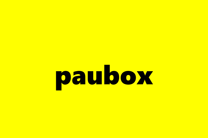 IT Company paubox