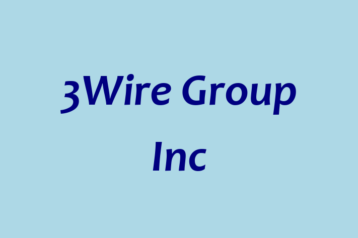 Software Consultancy 3Wire Group Inc