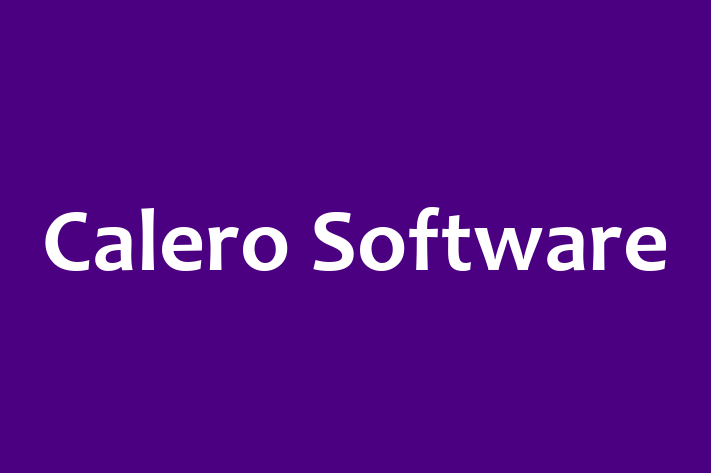 Software Consultancy Calero Software