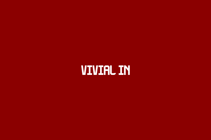 Application Development Company Vivial In