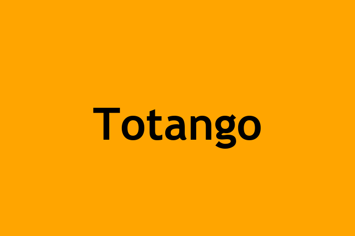 Software Services Company Totango