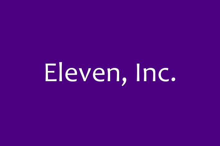 Software Consultancy Eleven Inc.