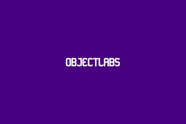 Software Development Company ObjectLabs