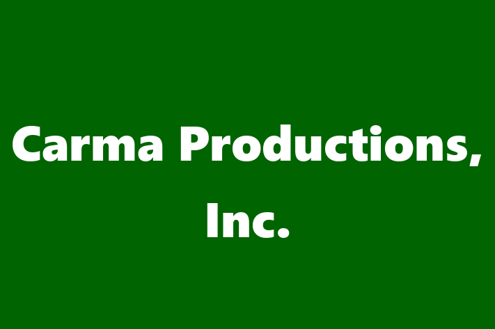 Software Development Firm Carma Productions Inc.