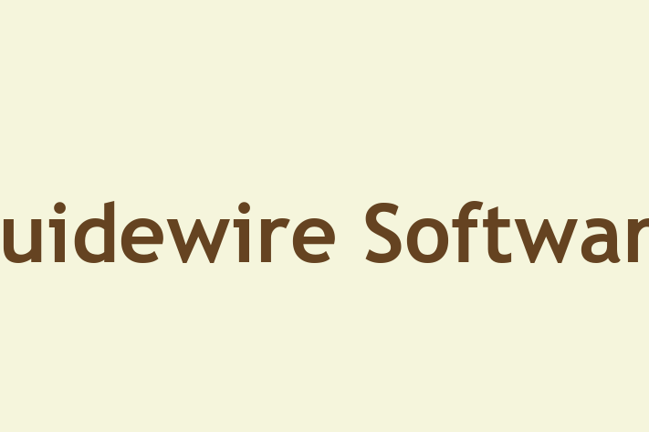 Technology Solutions Firm Guidewire Software