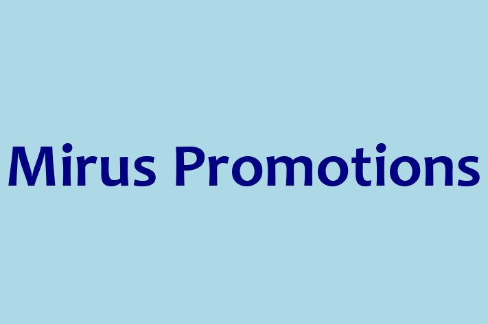 Software Services Company Mirus Promotions