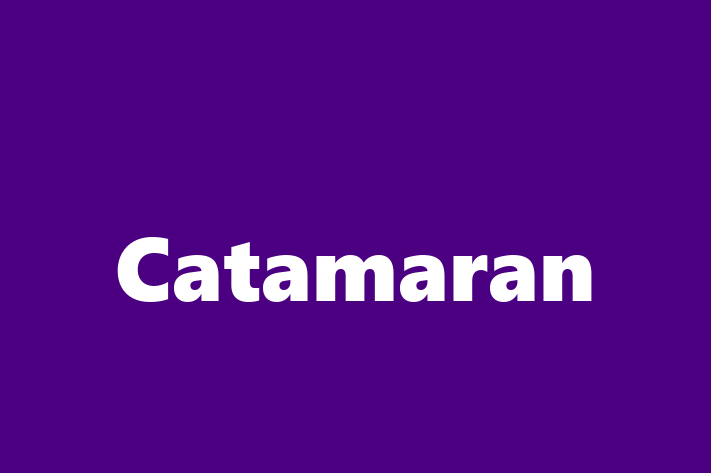 Technology Company Catamaran