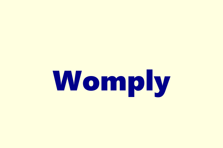 Software Development Firm Womply