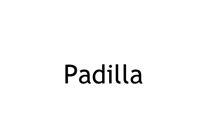 Software Services Company Padilla