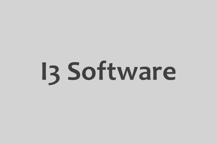 Software Services Company I3 Software